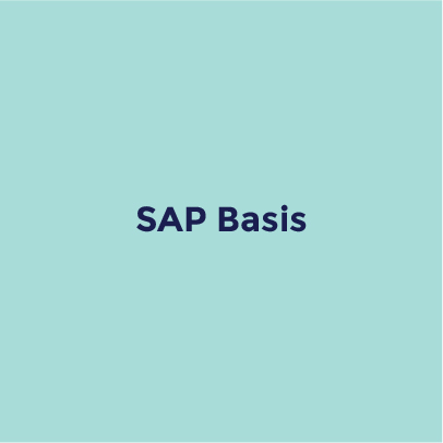 SAP Basis